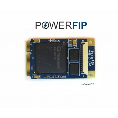 powerfip-master-slave