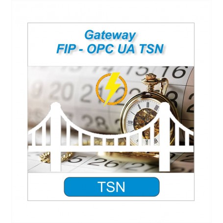 FIP - TSN